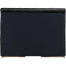  Color_Black  Size_Queen  -- Amara Black Velvet Upholstered Queen Bed IMAGE 5