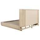  Size_Queen -- Coaster Furniture Kailani Upholstered Panel Bed IMAGE 3