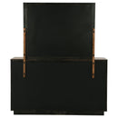  Coaster Furniture Terrace 224903M 6-Drawer Dresser and Mirror - Ash Brown IMAGE 6