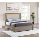 Coaster Furniture Kenora 224850Q 56-inch Queen LED Storage Bed - Barley Brown IMAGE 9