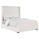  Size_Queen -- Coaster Furniture Natasha Upholstered Panel Bed IMAGE 2