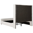  Size_Queen -- Coaster Furniture Natasha Upholstered Panel Bed IMAGE 3