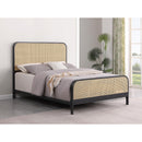 Coaster Furniture Lanewood 360250Q Open Cane Webbing Metal Queen Bed - Black IMAGE 8