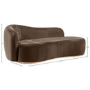  Manufacturer Color_Brown -- Gustavo Brown Velvet Upholstered Chaise IMAGE 7