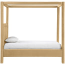  Color_Camel  Size_Twin  --  Salina Camel Velvet Upholstered Twin Bed IMAGE 4