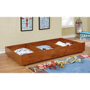  Furniture of America Grano FM-TR453-AK Trundle IMAGE 2