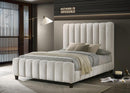 B572-Q Ivory Queen Bed