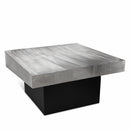 255-CT Palladium Iron Coffee Table