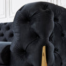 The Dynasty C8001B Black Luxury Armchair w/ Gold legs